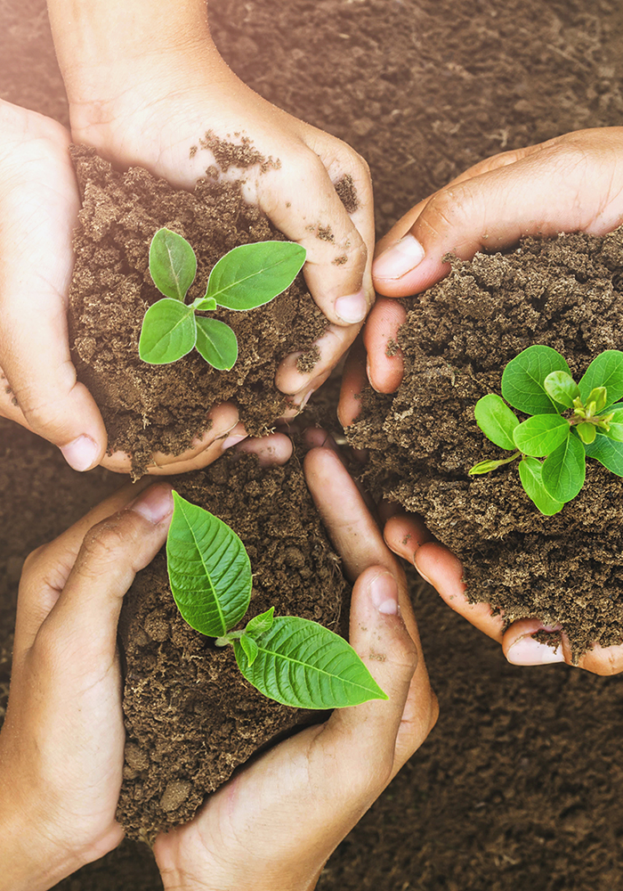Mains plantes terre Be-cosmo, appel à manifestation d'interêt, artiste, paris, mains, plantes, terre